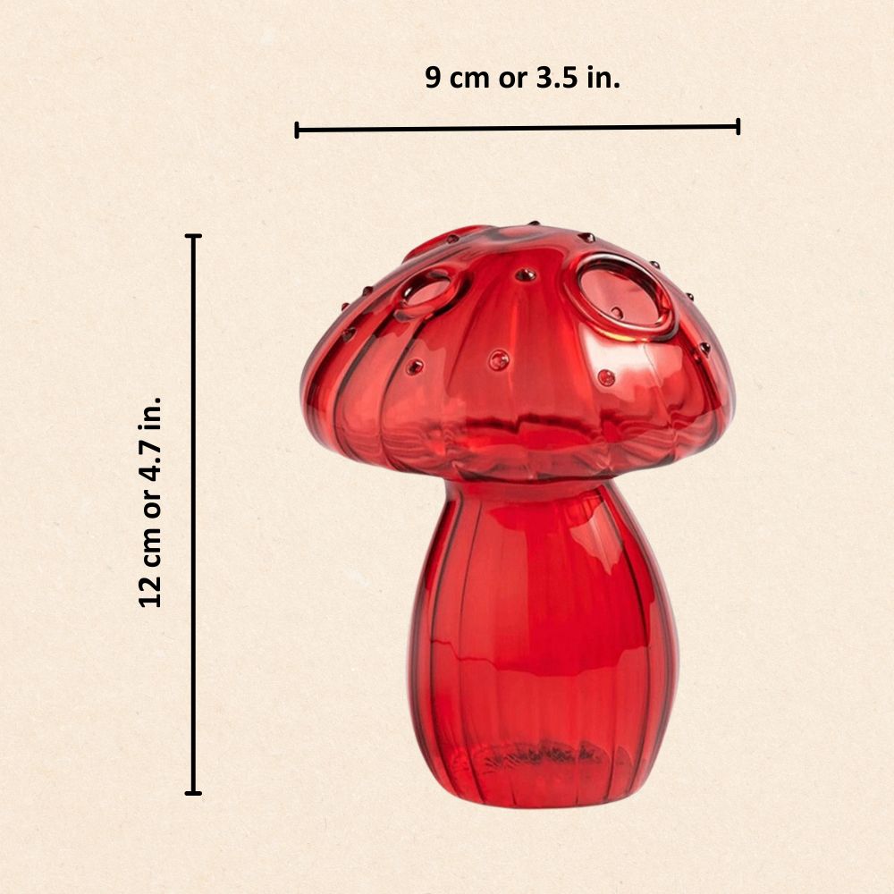 Vasos de Vidro Cogumelo Vibrantes